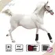 Durablered Laser Therapy for Dogs for Wholesale 3-7 Working Days Paypal 1