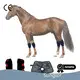 Oem & Odm Canine Red Light Therapy Canine Red Light Therapy Company 1