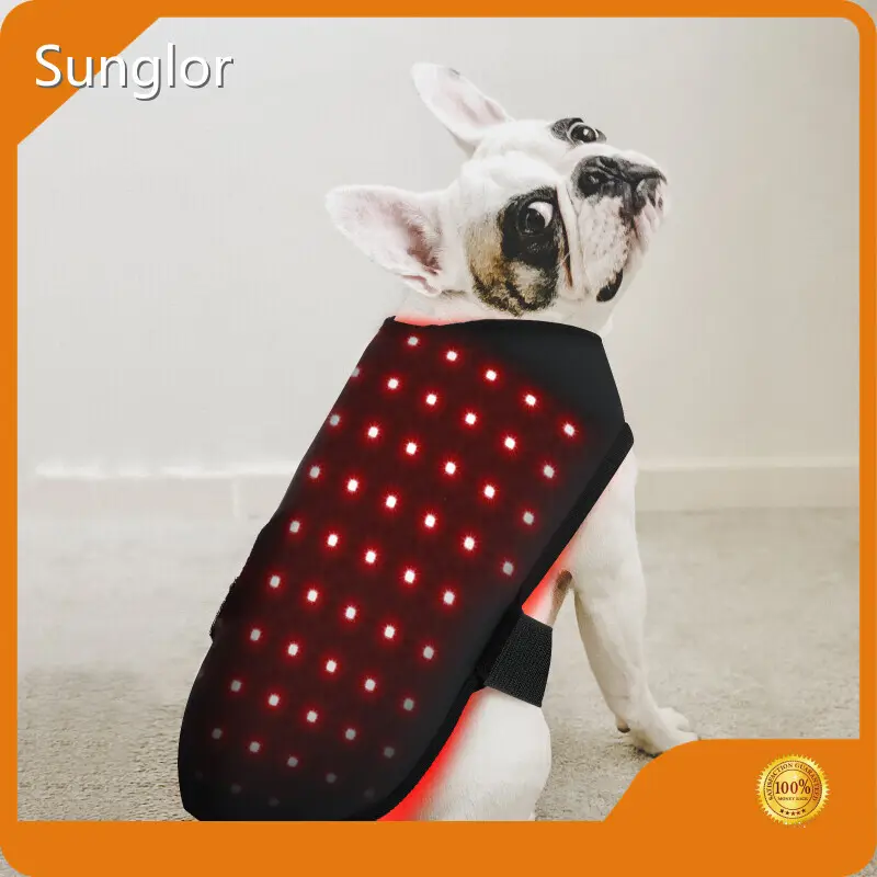 Bepoke Red Light Therapy for Cats Factory for House 1