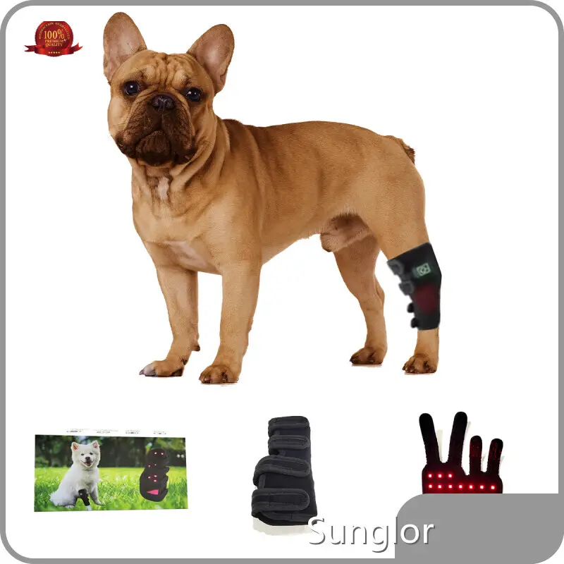 Best Price Canine Red Light Therapy with Good Price Fast Delivery 1