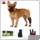 Best Price Canine Red Light Therapy with Good Price Fast Delivery 1