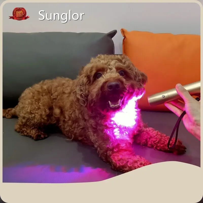 Para terapia de luz infravermelha de cavalo de cachorro metal por sunglor 1