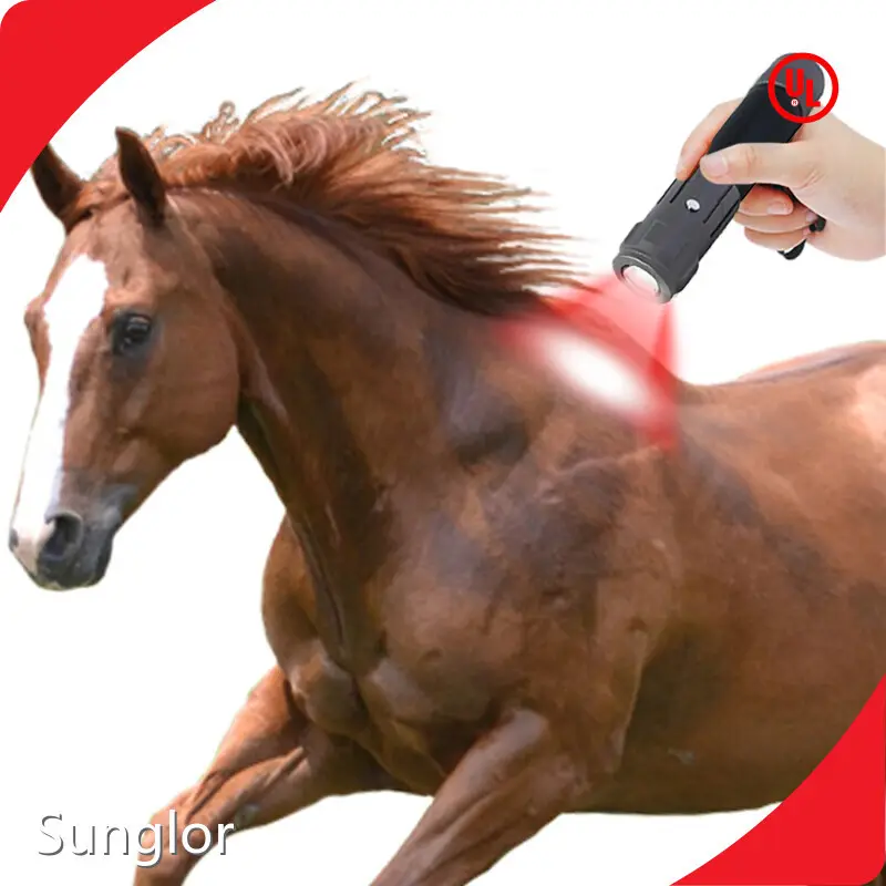 Top Selling Red Light Therapy for Animals Price List 1