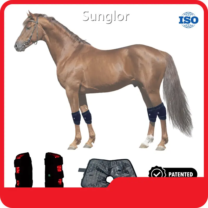 Sunglor Red Laser Therapy for Dogs 280*330*400mm Red Laser Therapy for Dogscompany 1