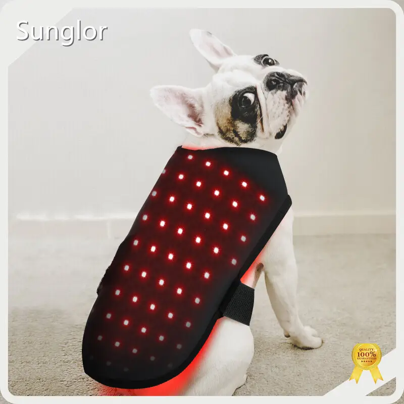 Sunglor Photonic Red Light Therapy for Dogs Cardboard Photonic Red Light Therapy for Dogsbest Supplier 1
