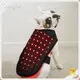 Sunglor Photonic Red Light Therapy for Dogs Cardboard Photonic Red Light Therapy for Dogsbest Supplier 1