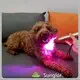 Hot Sellingred Light Therapy for Arthritis in Horses Bulk Production Gold D30*130mm 1