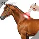 توصيل سريع للكلاب العلاج بالضوء الأحمر D30 * 130 مم من Sunglor 1
