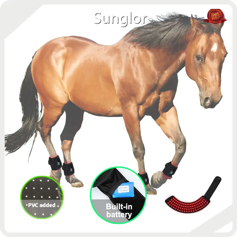 Terapia a Laser de Luz Vermelha para Cavalos 3-7 Dias Úteis - Empresa - Sunglor 1