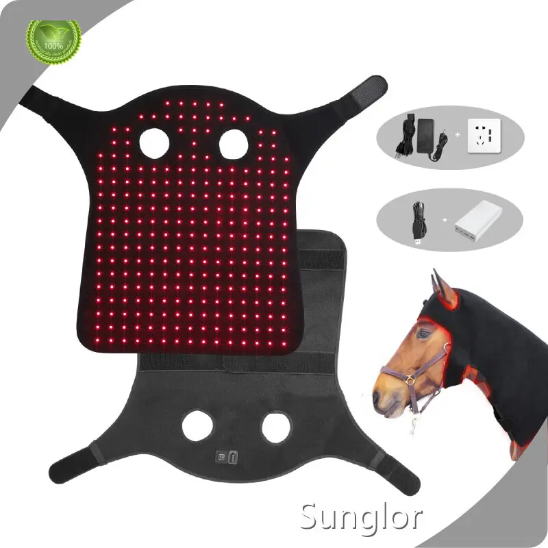 Newest Infrared Light Therapy for Horses with Good Price for House 1