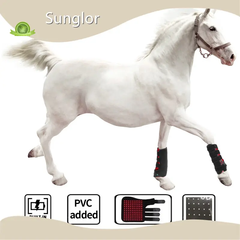 Quality Dog Red Light Therapy for House 1