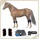 Wereldwijde rode lichtlasertherapie voor paarden met aangepaste diensten voor verschillende industrieën 1