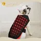 Bepoke Horse Red Light Therapy for Horses 1