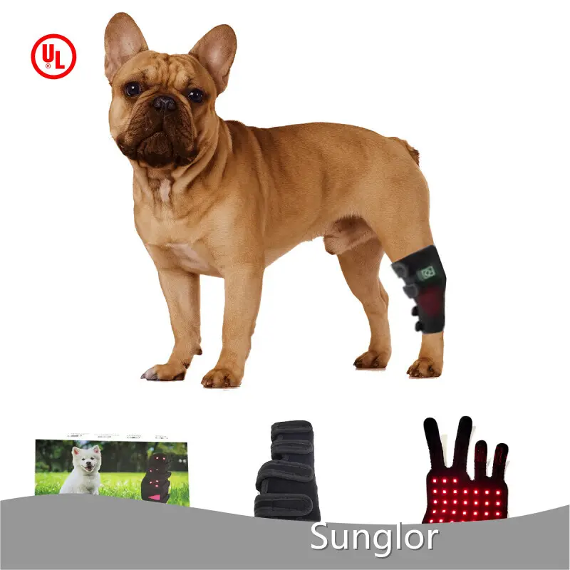 Durable Red Light Therapy for Cats Price List 1