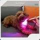 New Dog Red Light Therapy Price List 1