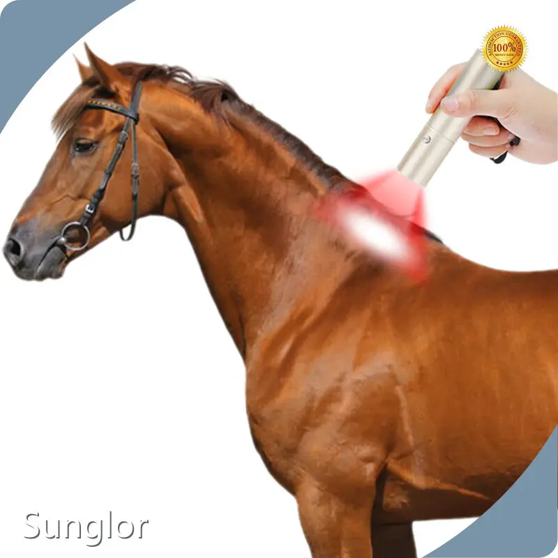 Red Light Laser Therapy for Horses Metal D30*130mmwith Good Price 1