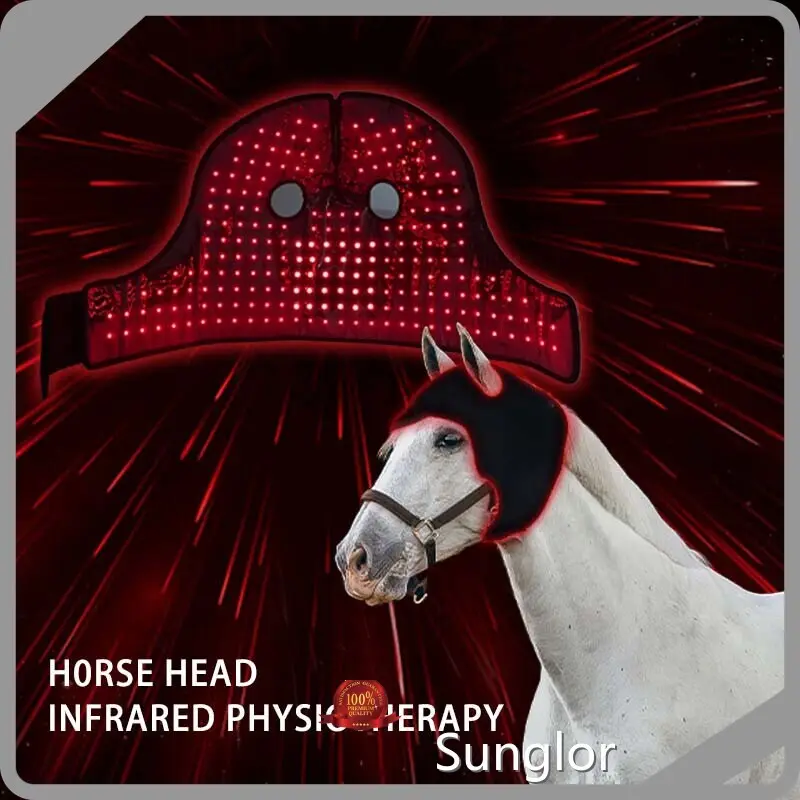 Top Selling Red Light Therapy on Horses Red Light Therapy on Horses Company 1