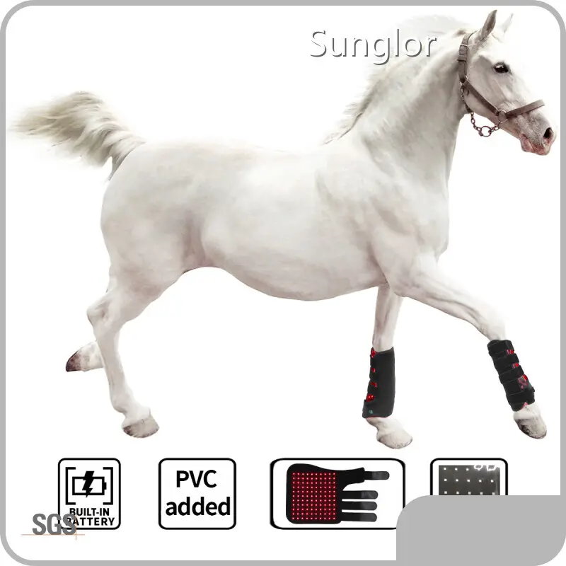 Wholesale Red Light Laser Therapy for Horses Red Light Laser Therapy for Horses Company 1