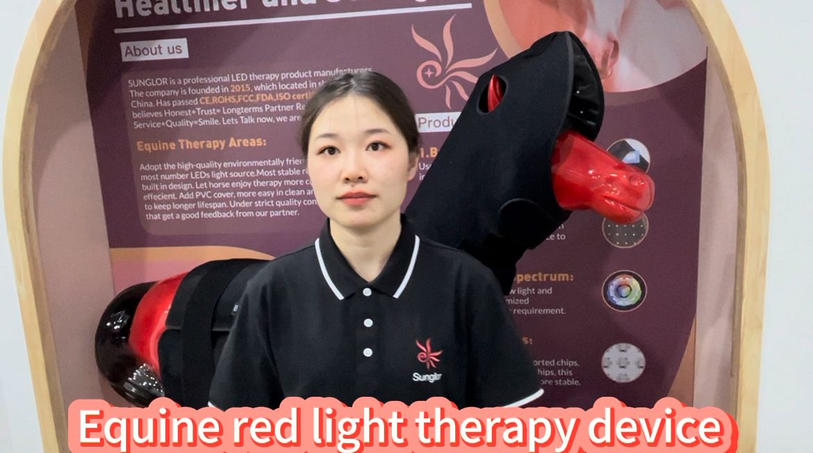 Equine Phototherapy Boots – Engineered for Peak Performance