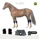 For Wholesale Red Light Therapy Cats 3-7 Working Days by Sunglor 1