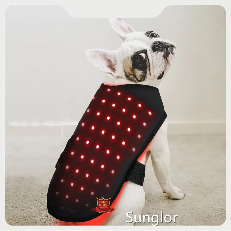 Wholesale Horse Red Light Therapy Supplier for House 1