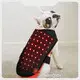 Wholesale Horse Red Light Therapy Supplier for House 1
