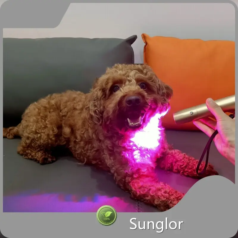 Worldwide Best Light Therapy Device for Dogs Price List 1
