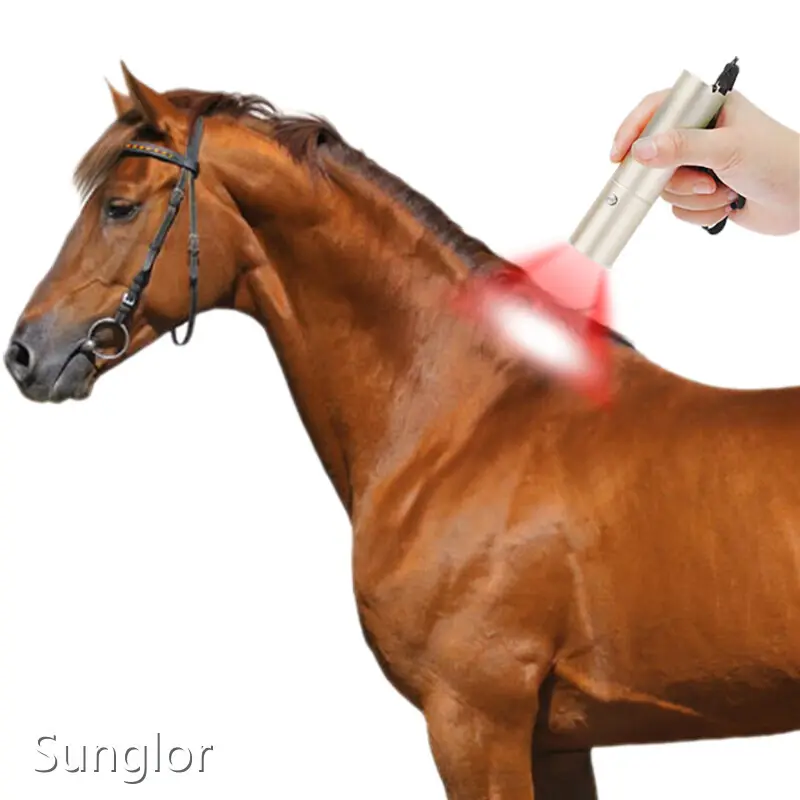 For Business Red Light Therapy for Pets 1 by Sunglor 1