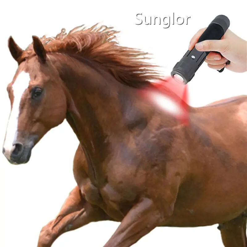 New Best Red Light Therapy Device for Dogs Aluminum Foil for Equine 1