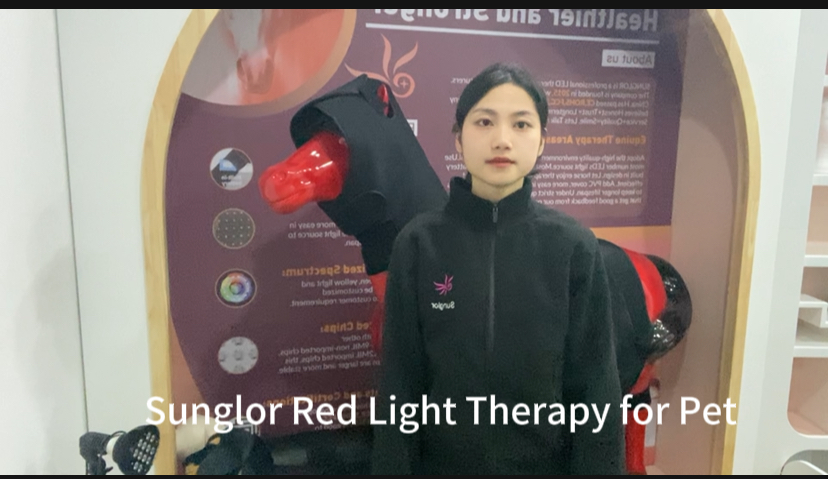 Equine Full-Body Phototherapy System – Precision Engineered for Champions