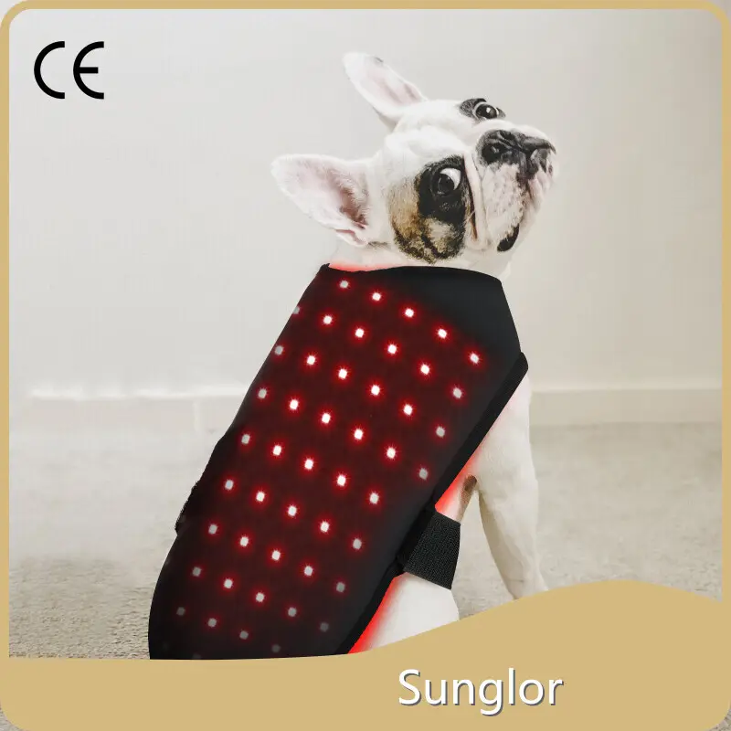 Newest Infrared Light Therapy for Cats Factory Direct Supply Bulk Production 1