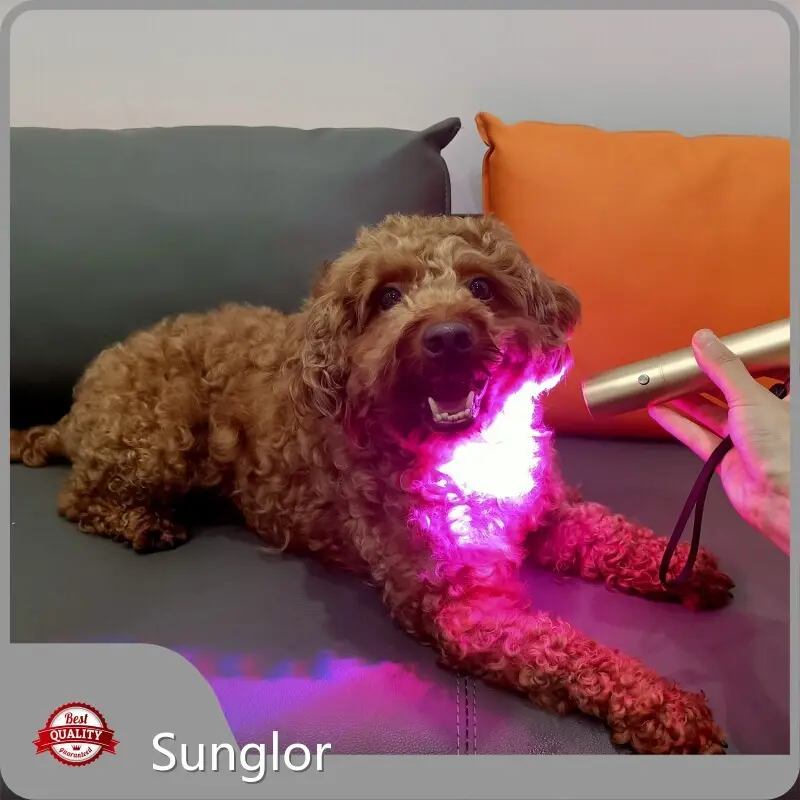 Infrared Light for Pets Paypal - for Wholesale - Sunglor 1