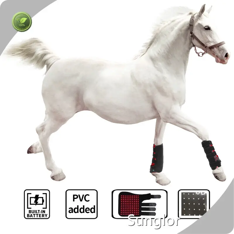 Best Red Light Therapy for Horses for Horses 1directly Sale 1