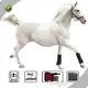 Best Red Light Therapy for Horses for Horses 1directly Sale 1