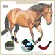 New Red Light Therapy on Horses Red Light Therapy on Horses Company 1