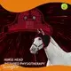 New Red Light Therapy Cats Factory Direct Supply Bulk Buy 1