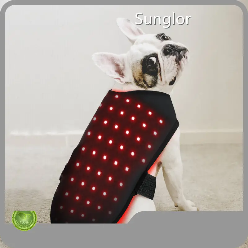 Customized Red Light Therapy for Dogs with Arthritis for Cat 1