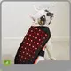 Customized Red Light Therapy for Dogs with Arthritis for Cat 1