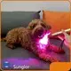 Best Value Light Therapy for Horses Light Therapy for Horses Company 1