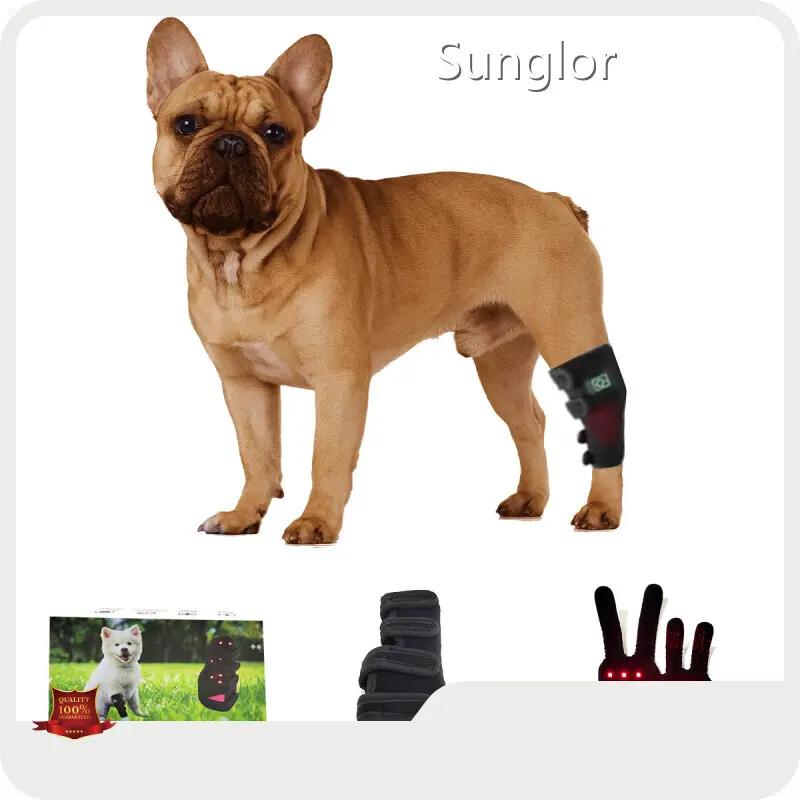 Sunglor Best Red Light Therapy for Horses Black Best Red Light Therapy for Horsescompany 1