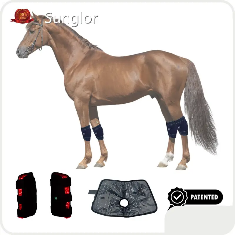 Infrared Light Therapy for Cats Paypal - for Equine - Sunglor 1