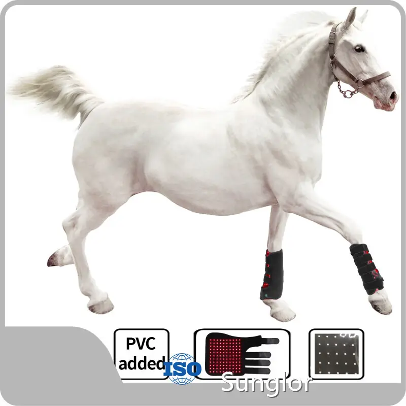 Photonic Red Light Therapy for Horses Cardboard SBRdirectly Sale 1