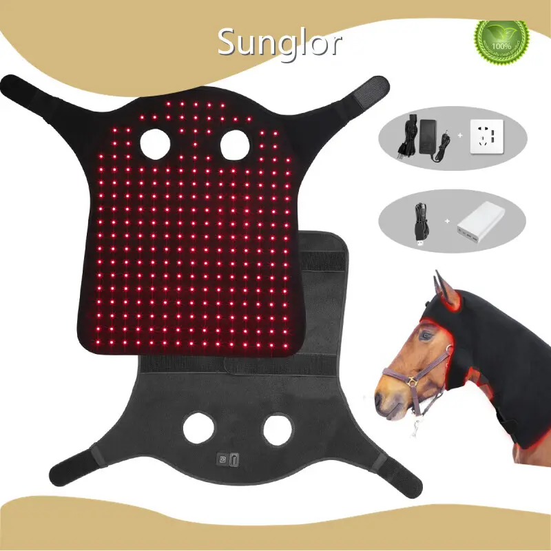 Wholesale Canine Red Light Therapy Supplier for Cat 1