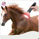 Bepoke Infrared Light Therapy for Cats Infrared Light Therapy for Cats Company 1