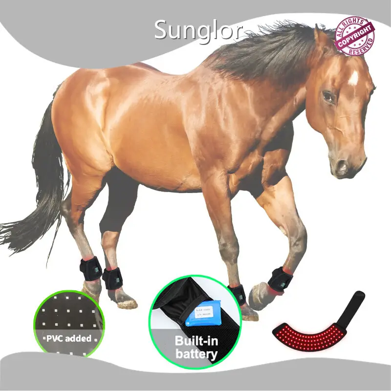 Bulkinfrared Therapy for Dogs Fast Delivery 1 SG-WP-FT 1