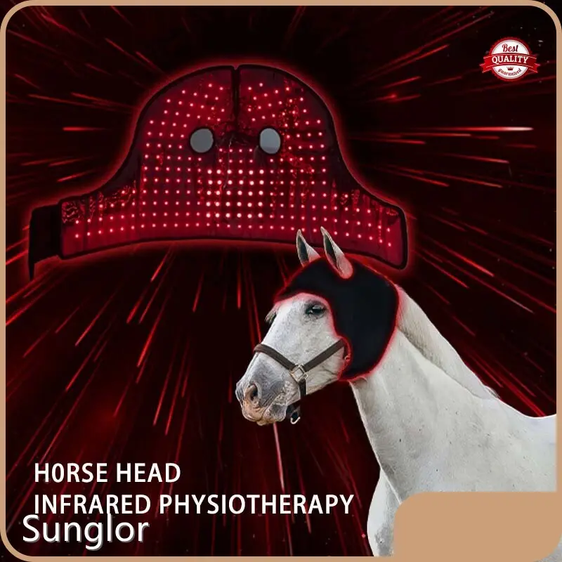 Infrared Horse Therapy for Dog Blackhigh safety 1