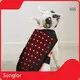 Horse Red Light Therapy for Sale Cardboardwith Good Price 1