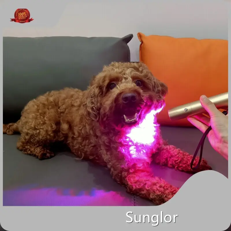 Sunglor Best Red Light Therapy for Dogs 3-7 Working Dayssupplier 1
