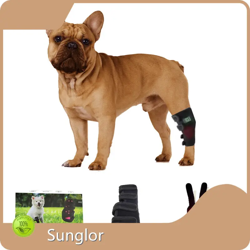 Comfortable Photonic Red Light Therapy for Dogs Factory for Cat 1