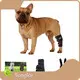 Comfortable Photonic Red Light Therapy for Dogs Factory for Cat 1
